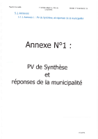PV Synthèse + réponses municipalité