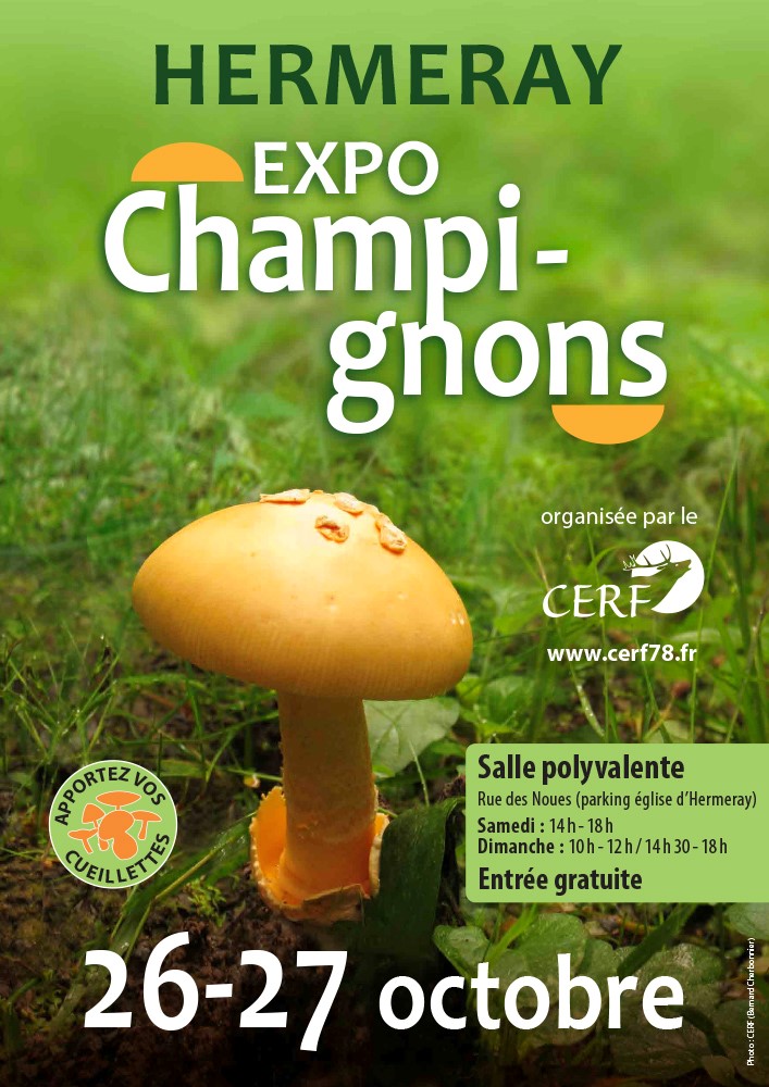 HERMERAY – Exposition Champignons – 26 et 27 octobre