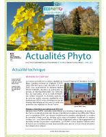 N°184 – Avril 2025