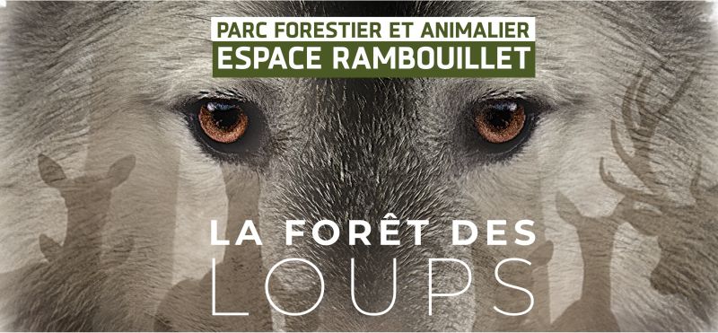 ESPACE RAMBOUILLET – L’appel des loups – Tous les samedis de mai à juin