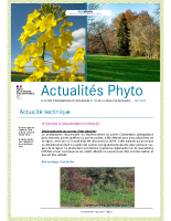 N°190 – octobre 2025