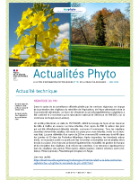 N°191 – novembre 2025