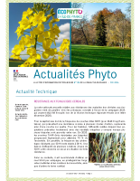 N°194 – fevrier 2026