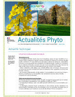 N°195 – mars 2026