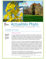 N°196 – avril 2026